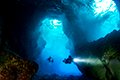 aquatic compare