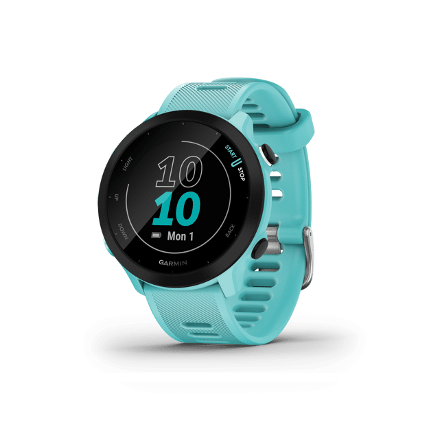 forerunner 55