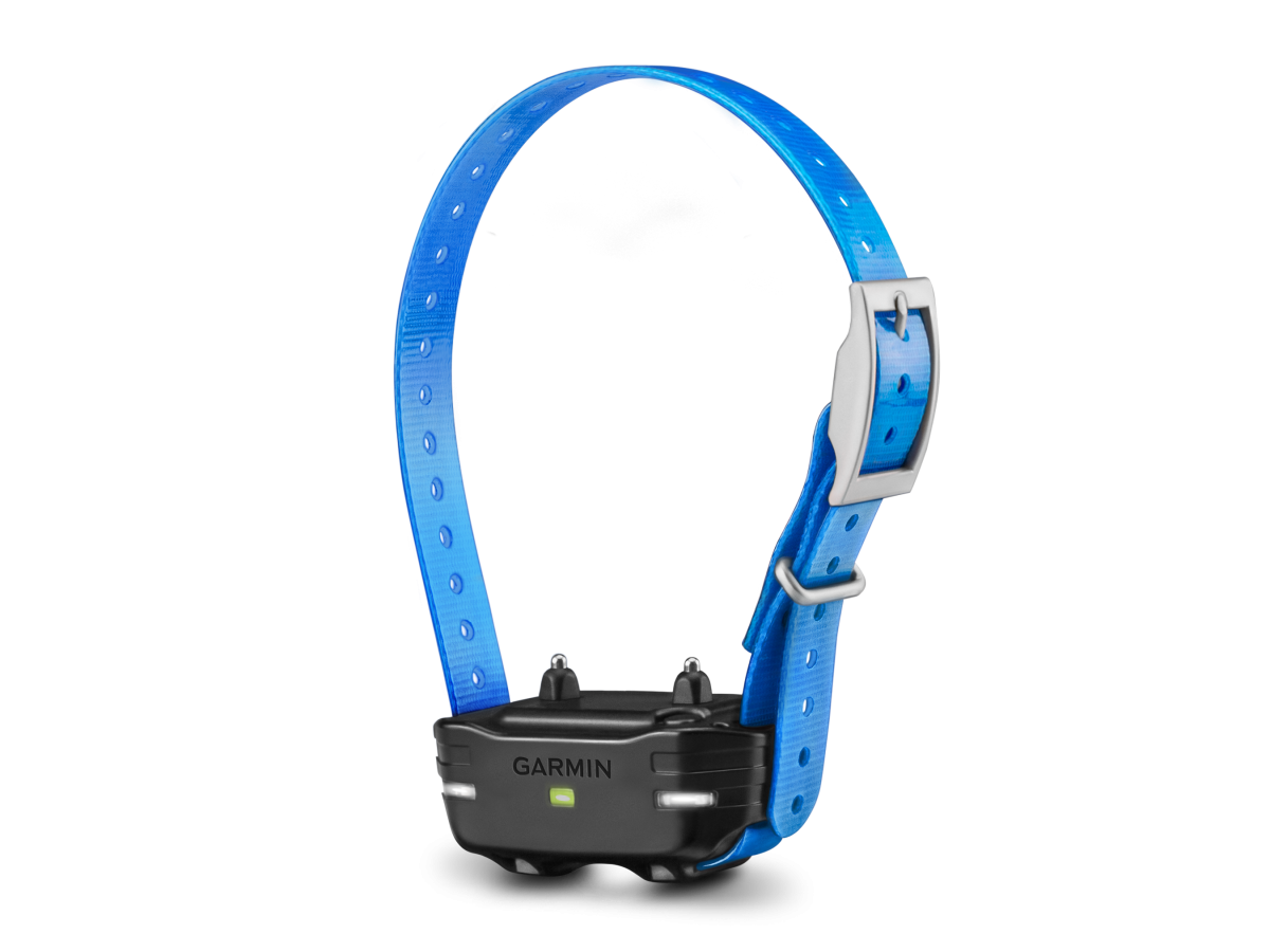Garmin pet outlet