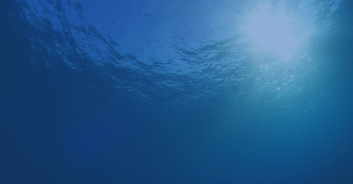 Underwater Drones in Canada’s Lakes & Rivers GPS Central