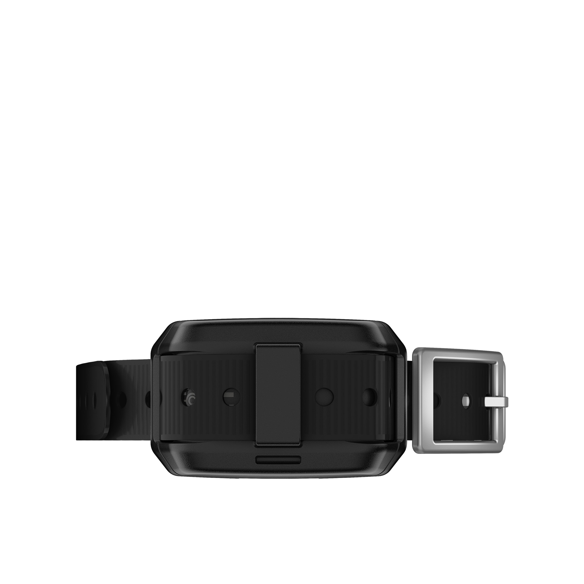 Garmin Delta SE Remote Dog Training System GPS Central