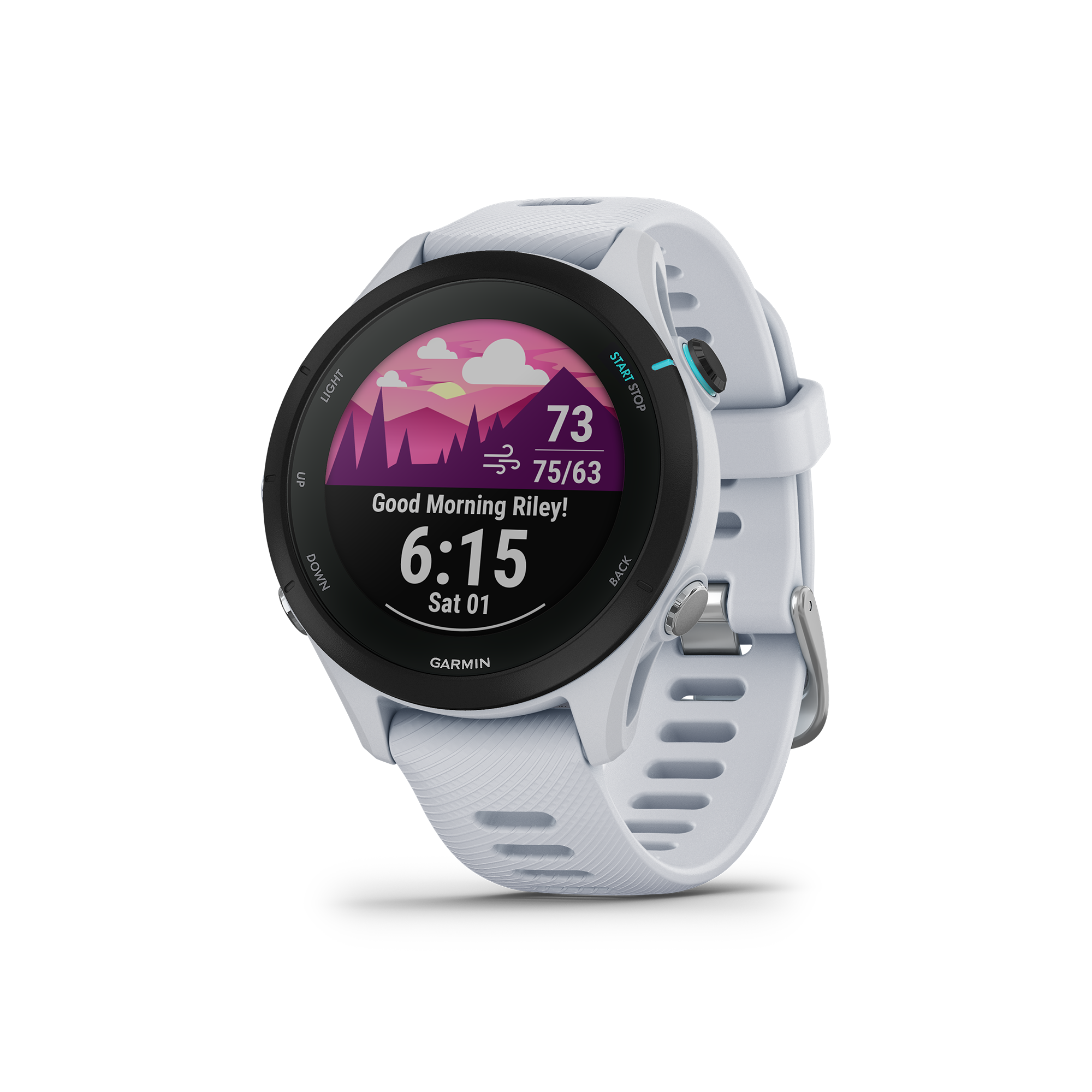 buy forerunner 245