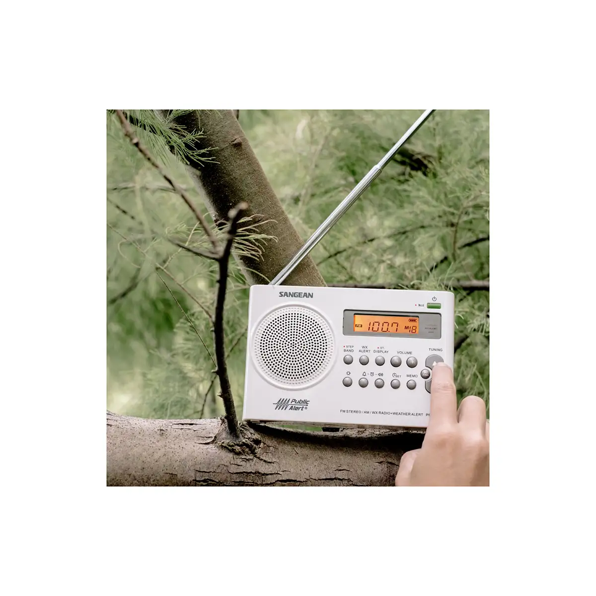 Sangean PR-D9W AM/FM Weather Alert Rechargeable Portable