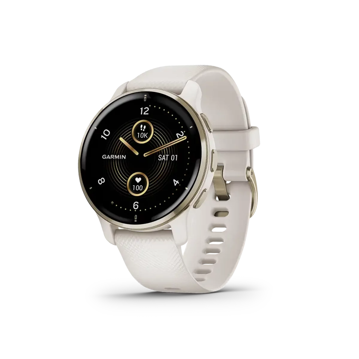 Garmin Venu® 2 Plus Smartwatch - Powder Gray / Sliver